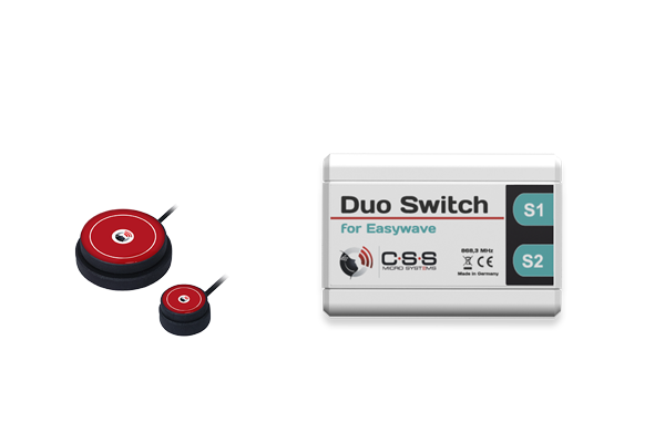 Duo switch with buttons